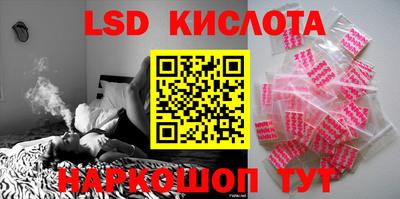 шишки Конаково