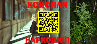 шишки Конаково