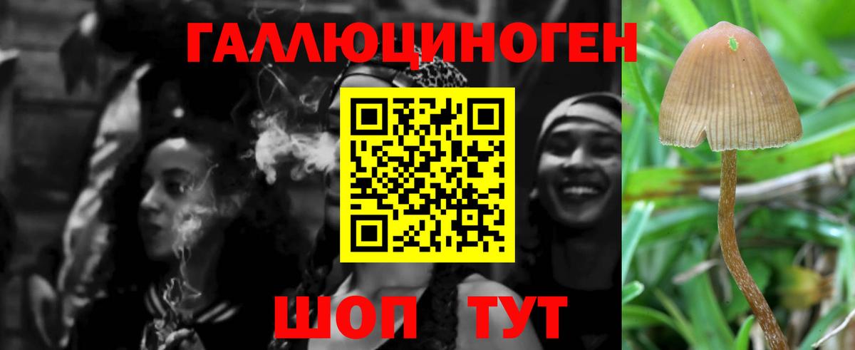купить  цена  Галлюциногенные грибы Psilocybe  Королёв  Вход с VPN  Галлюциногенные грибы MAGIC MUSHROOMS 