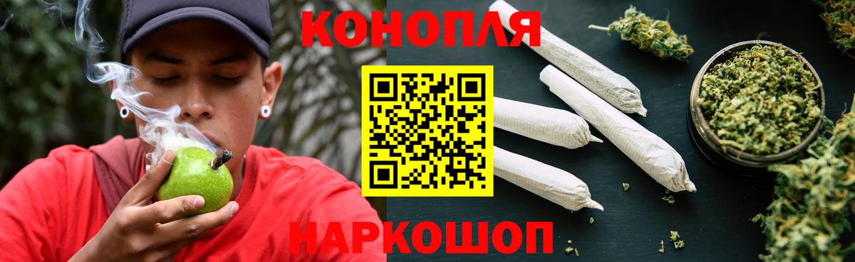 Каннабис план  Конопля Bruce Banner  Бошки марихуана OG Kush  Королёв  Вход с VPN  Каннабис планчик 